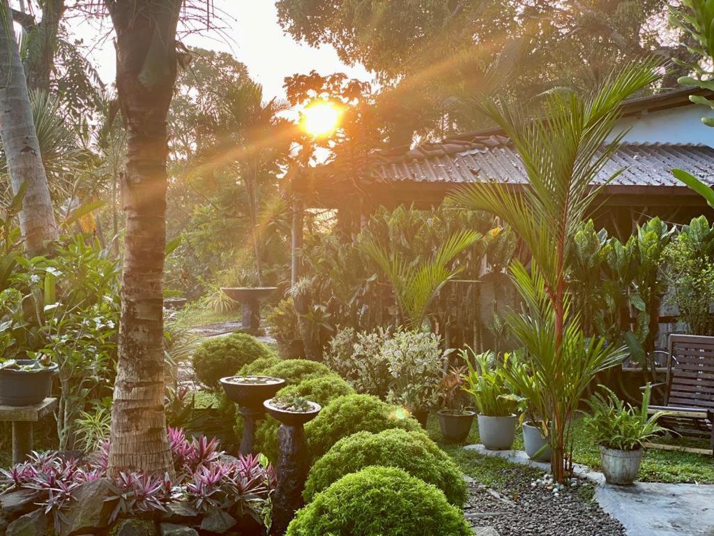 Hathawariya Green View Cabin Talpe Exterior foto