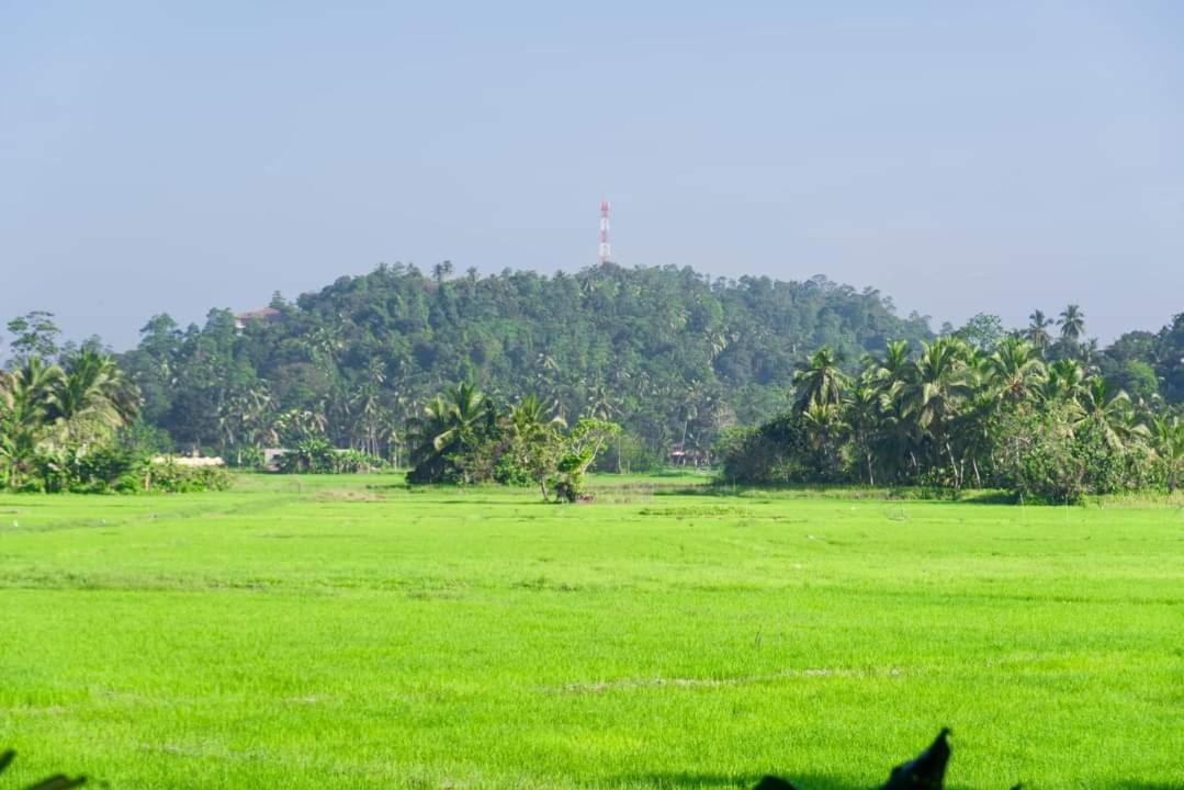Hathawariya Green View Cabin Talpe Exterior foto