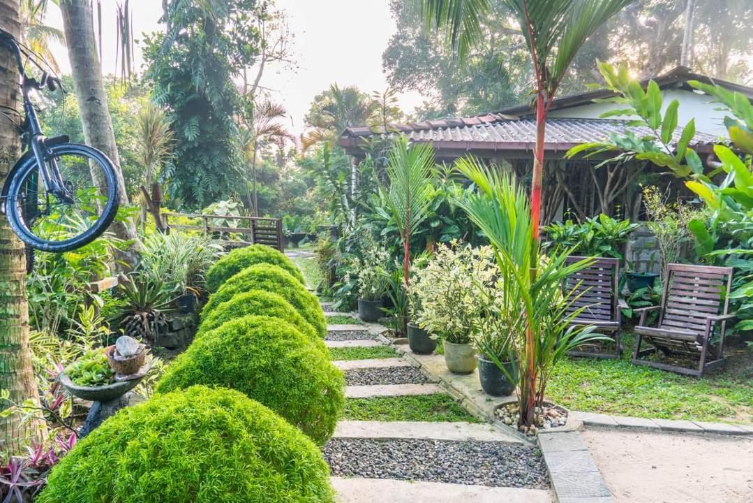 Hathawariya Green View Cabin Talpe Exterior foto